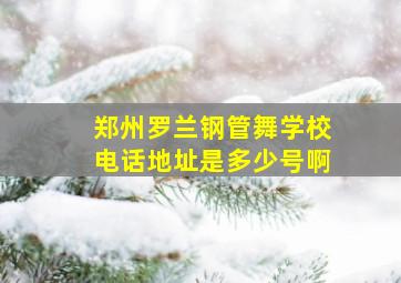 郑州罗兰钢管舞学校电话地址是多少号啊