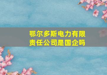 鄂尔多斯电力有限责任公司是国企吗