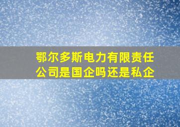 鄂尔多斯电力有限责任公司是国企吗还是私企