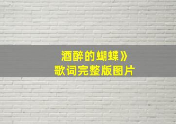 酒醉的蝴蝶》歌词完整版图片