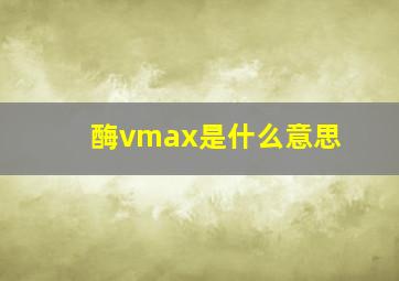 酶vmax是什么意思