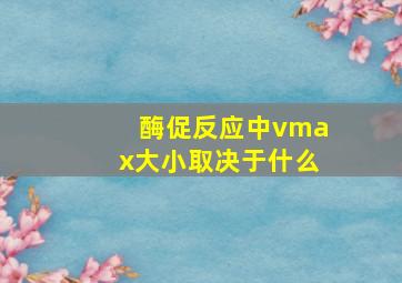 酶促反应中vmax大小取决于什么