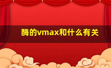 酶的vmax和什么有关