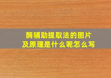 酶辅助提取法的图片及原理是什么呢怎么写