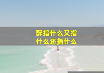 醉指什么又指什么还指什么