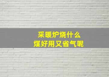 采暖炉烧什么煤好用又省气呢