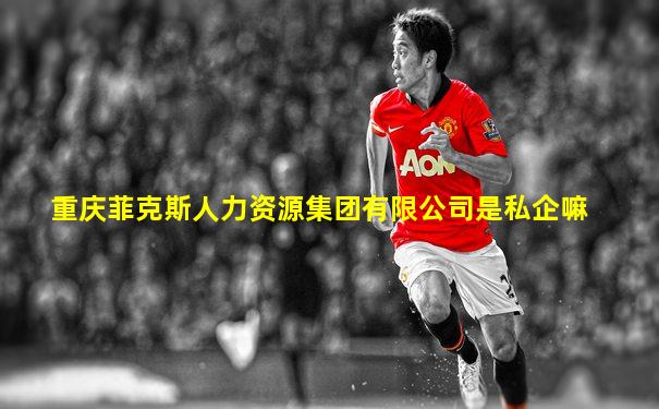 重庆菲克斯人力资源集团有限公司是私企嘛