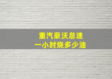 重汽豪沃怠速一小时烧多少油