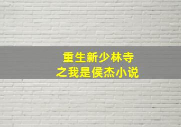 重生新少林寺之我是侯杰小说