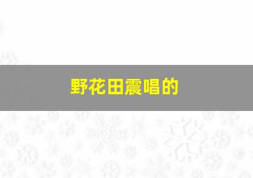 野花田震唱的