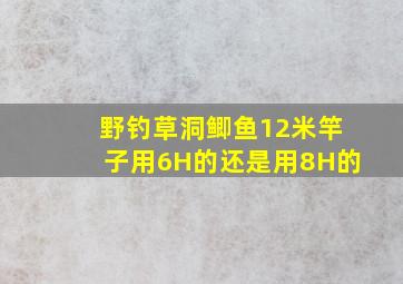 野钓草洞鲫鱼12米竿子用6H的还是用8H的