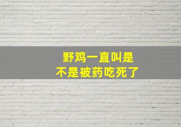 野鸡一直叫是不是被药吃死了