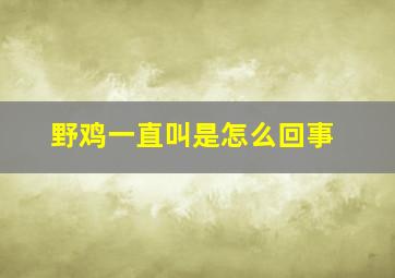 野鸡一直叫是怎么回事