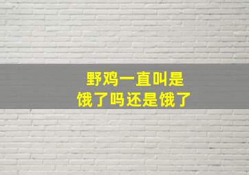 野鸡一直叫是饿了吗还是饿了