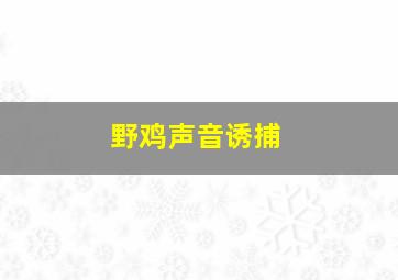 野鸡声音诱捕