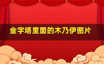 金字塔里面的木乃伊图片