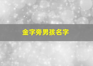 金字旁男孩名字