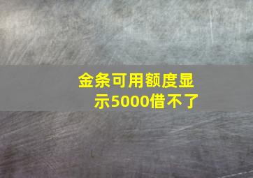 金条可用额度显示5000借不了