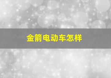 金箭电动车怎样