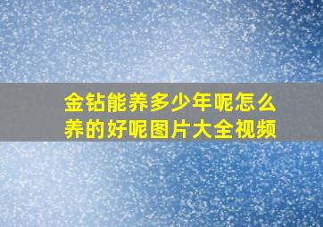 金钻能养多少年呢怎么养的好呢图片大全视频