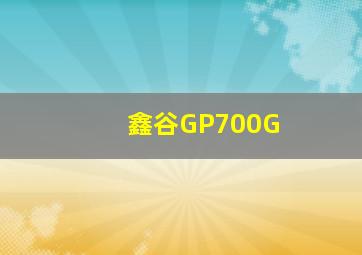 鑫谷GP700G