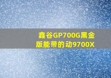 鑫谷GP700G黑金版能带的动9700X