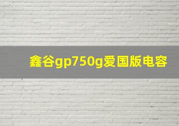 鑫谷gp750g爱国版电容