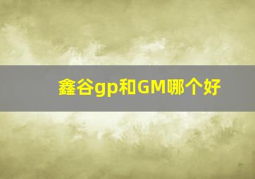 鑫谷gp和GM哪个好