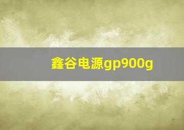 鑫谷电源gp900g