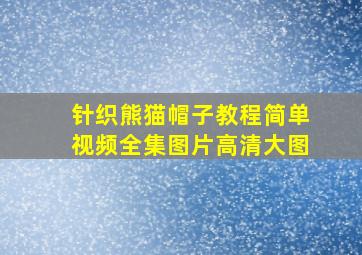 针织熊猫帽子教程简单视频全集图片高清大图