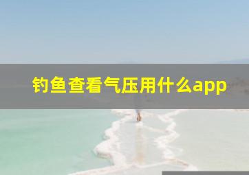 钓鱼查看气压用什么app