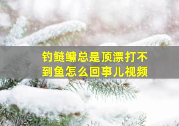 钓鲢鳙总是顶漂打不到鱼怎么回事儿视频