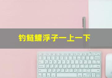 钓鲢鳙浮子一上一下