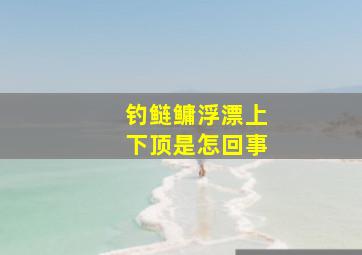 钓鲢鳙浮漂上下顶是怎回事