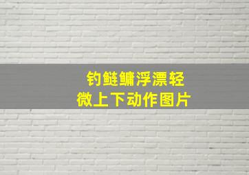 钓鲢鳙浮漂轻微上下动作图片