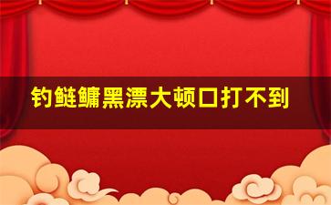 钓鲢鳙黑漂大顿口打不到