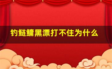 钓鲢鳙黑漂打不住为什么