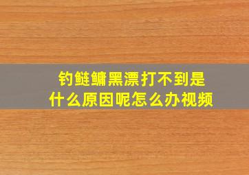 钓鲢鳙黑漂打不到是什么原因呢怎么办视频