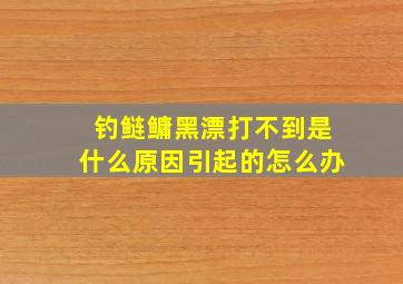 钓鲢鳙黑漂打不到是什么原因引起的怎么办