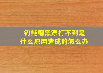 钓鲢鳙黑漂打不到是什么原因造成的怎么办