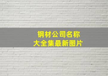 钢材公司名称大全集最新图片