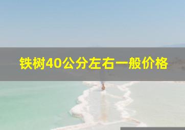 铁树40公分左右一般价格