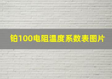 铂100电阻温度系数表图片