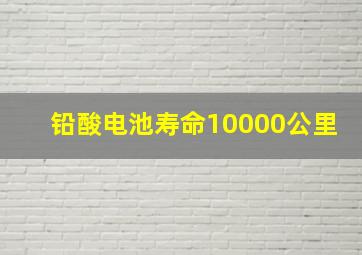 铅酸电池寿命10000公里