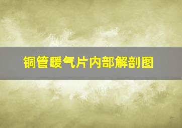 铜管暖气片内部解剖图