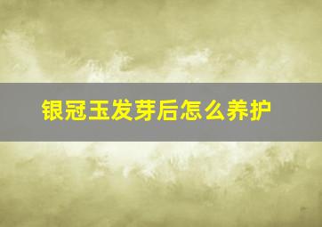 银冠玉发芽后怎么养护