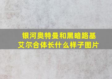 银河奥特曼和黑暗路基艾尔合体长什么样子图片