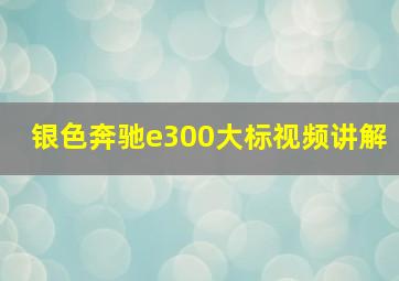 银色奔驰e300大标视频讲解