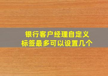 银行客户经理自定义标签最多可以设置几个