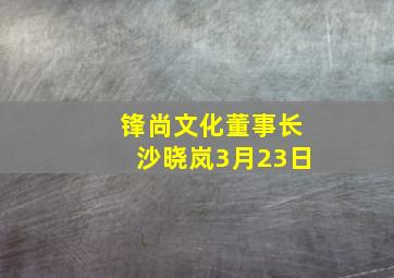 锋尚文化董事长沙晓岚3月23日